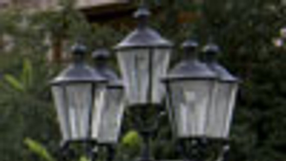 Aj kvetinová krása má svoju stratégiu