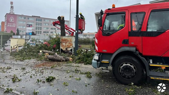 Električky na trase Zlaté Piesky - Stanica Nové Mesto majú čoskoro premávať