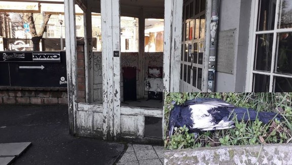 Mŕtve vtáky, problém s hlodavcami... Na stav vzácnej budovy v Starom Meste je smutný pohľad