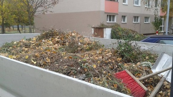 Upozornenie čitateľa: Opadané lístie je nebezpečné