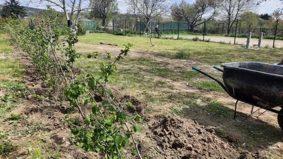 Kde to viazne? Nový psí výbeh na Dražickej v Dúbravke stále neotvorili