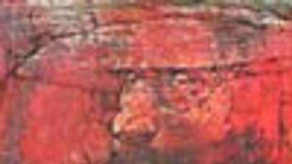 Metamorfózy maľby v Dome umenia