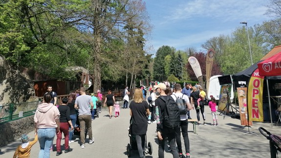 Zažite v ZOO podujatie plné rozmanitosti, farieb, príjemnej hudby a stretnutí