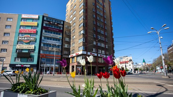 FOTO: Narcisy a pestrofarebné tulipány premenili Bratislavu na mesto kvetov