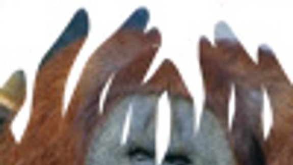 Bratislava pre všetkých bude aj odmenou