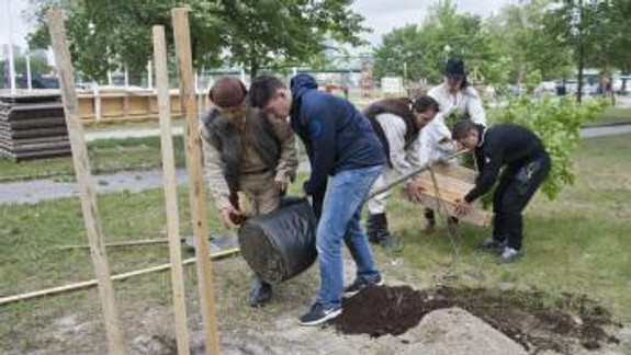 Na Tyršovom nábreží vysadili Napoleonov dub