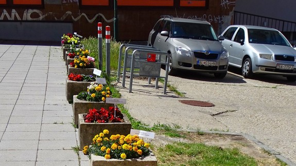 Karlovešťania: Adoptujte si verejný kvetináč, prispejete ku krajšej mestskej časti