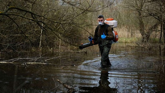 Bratislava vykonala počas sezóny 858 zásahov na liahniskách komárov
