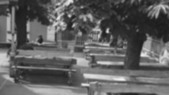 Záhradné stoly sa dávali vždy pod dva orechy