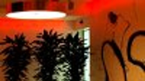 Milton, to je kvalita a atraktívne ceny