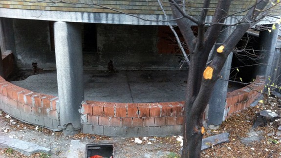 Z Bezručovej ulice zmizli kríky aj bezdomovci