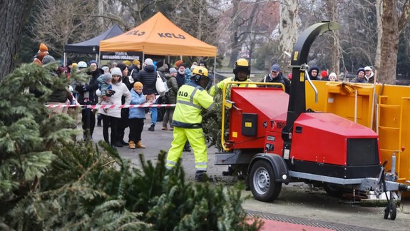 Prídete? Ďalšie vianočné stromčeky sa zmenia na mulč, tentoraz vo Vrakuni