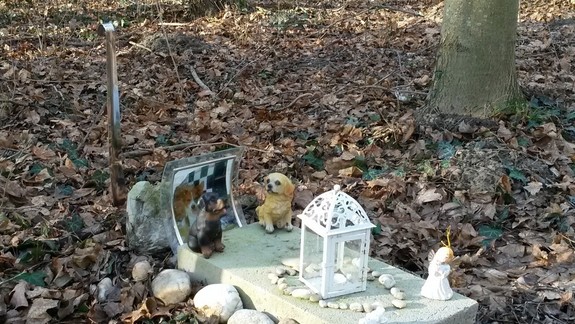 Hroby domácich miláčikov dnes nájdete hocikde. Bude mať Petržalka zvierací cintorín?
