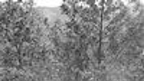 Žiadna sabotáž, len som sa chcela ísť hrať