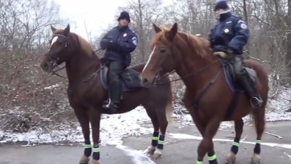 VIDEO V Lamači prebehla špeciálna policajná kontrola