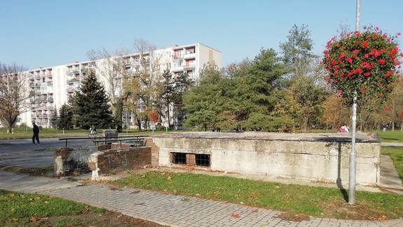 Ružinov plánuje orezať koruny 300 stromov