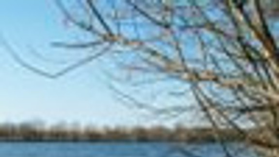 Za dvermi je nový spor o ochranu prírody