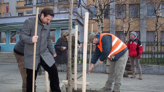 Na Račianskej ulici vysadia nové stromy