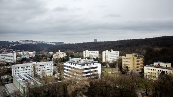 SAV chystá na Patrónke moderný kampus, vyhlásila architektonické súťaže na tri budovy