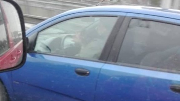 Absurdné: Muž šoféroval so psom na kolenách! Aké sú pravidlá?