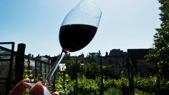 HISTÓRIA: Prešporskí vinári boli výnimoční aj v európskom meradle