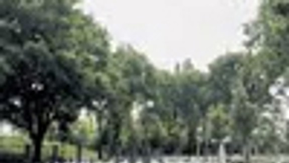 Spomienka na vojenskom cintoríne bude 1. novembra