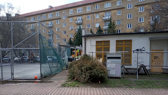 FOTO: Prečo sa okolo kontajnerových stojísk tento rok hromadia vyhodené vianočné stromčeky?