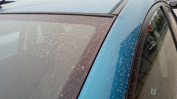 Saharský prach: Stanú sa špinavé autá bežnou realitou? Slová uznávaného klimatológa vás nepotešia