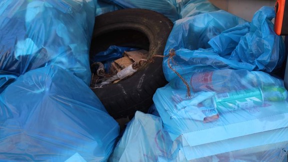 Petržalku čaká ďalšia zelená akcia, po upratovaní bratislavských brehov čaká dobrovoľníkov odmena