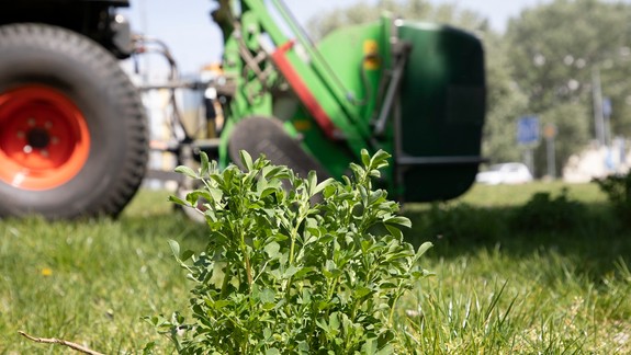 VIDEO: Začína sa druhá vlna kosenia. Počet kôl závisí od počasia