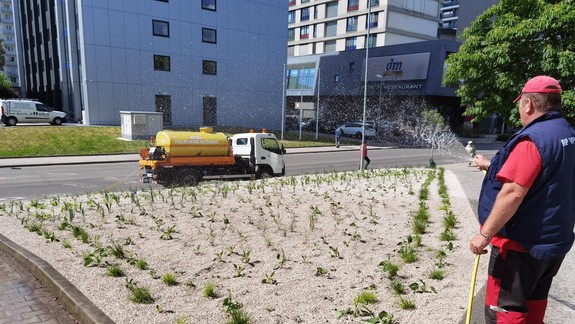 Bratislava sa opäť pridá k podujatiu Climathon