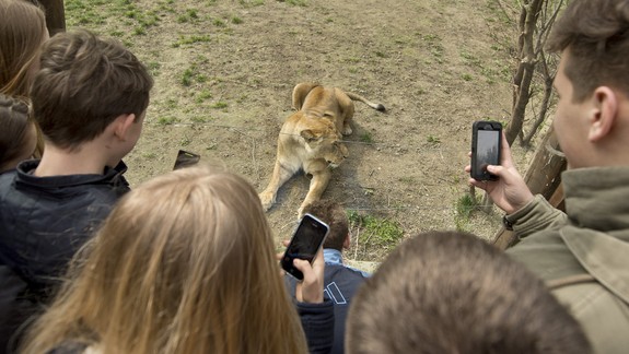 Tip na nedeľu: V ZOO môžete s deťmi osláviť Svetový deň zvierat