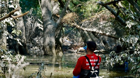 Magistrát: Situácia s komármi je relatívne stabilná, zasahujeme však neustále