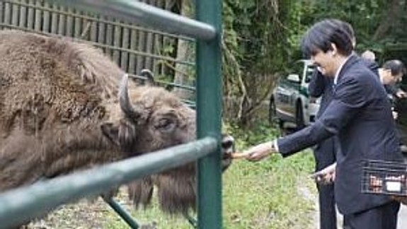 Japonský princ v bratislavskej ZOO fotil a kŕmil zubry
