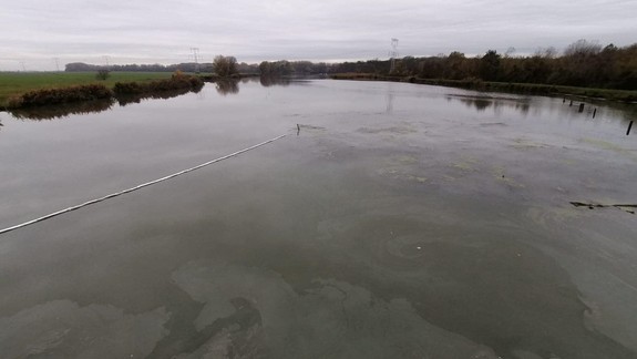 Tragédia: V Malom Dunaji našli bezvládne telo seniorky