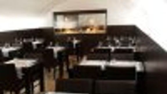 Kočky sú krásne, no niekedy nemožné