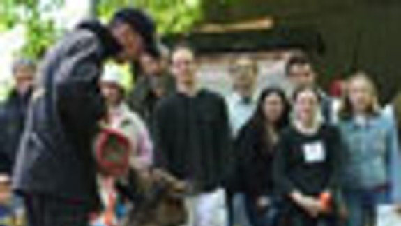 V Horskom parku budú v sobotu tancovať psy