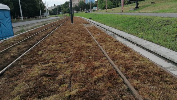 FOTO: Zhynuli rastliny vysadené na Dúbravsko-karloveskej radiále?