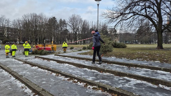 Vianočné stromčeky sa opäť menia na mulč, môžete ich priniesť do Dúbravky