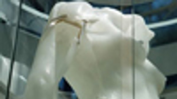 Irena Jůzová vystavuje svoje telo v Českom centre