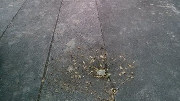 Chodník má byť pre chodcov spoľahlivý