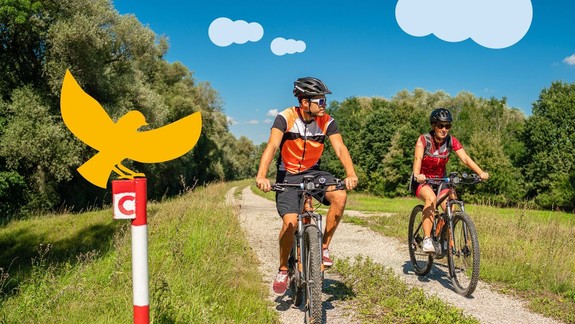 Poznáte VýletBusy? Vyberte sa splavovať Malý Dunaj alebo spoznávať krásy Záhoria či Malých Karpát