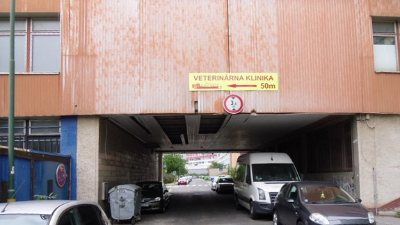 FOTO: Okolie Domu kultúry Lúky vyzerá naozaj príšerne, spomínalo sa tu na Bratislavskú lýru