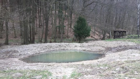 Zistili sme pre vás: Čo robia v lesoparku hlboké jamy? Chránia prírodu