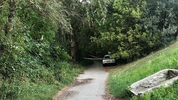 Pri cyklotrase medzi Devínom a Devínskou Novou Vsou objavili lebku ženy!