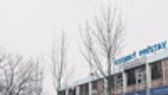 Na Fajnorovom nábreží vysadili šestnásť jaseňov