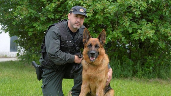 Nemecký ovčiak "vyňuchal" muža, ktorý chcel pravdepodobne kradnúť v jednom z rodinných domov