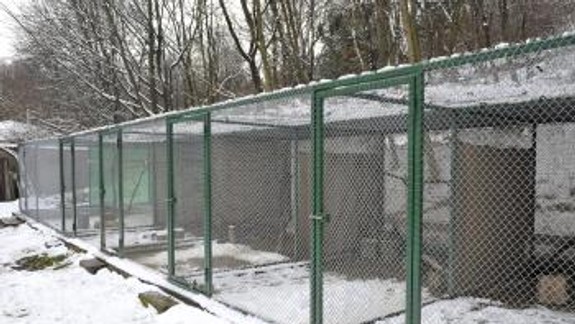 Bratislavská ZOO môže liečiť zranené vtáky