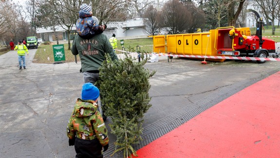 V Sade Janka Kráľa sa premenili vianočné stromčeky na mulč