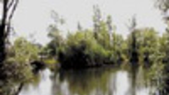 S neporiadkom si chcú poradiť občania sami